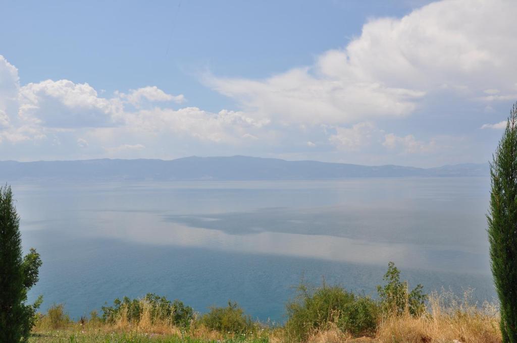 Marina Apartments Ohri Dış mekan fotoğraf